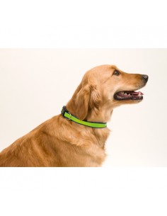 Collar Muttley 2